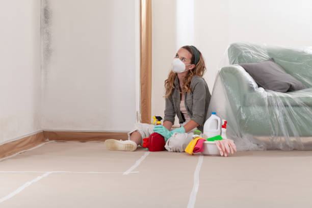 Reliable Mold Cleanup contractor in Safety Harbor, FL by WQB Mold Removal